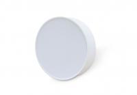 吸頂款消防應(yīng)急照明燈（3W、6W、9W、12W、15W）